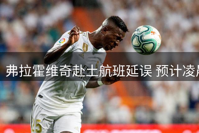 弗拉霍维奇赴土航班延误 预计凌晨抵达伊斯坦布尔